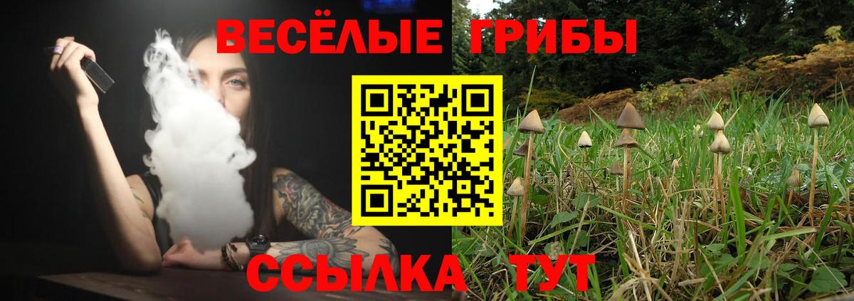 Псилоцибиновые грибы ЛСД Первоуральск